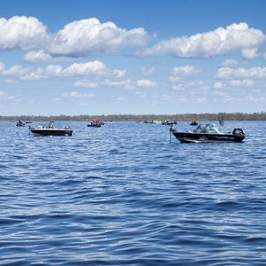 Where will Ron Schara be searching for walleye tomorrow on fishing opener day?