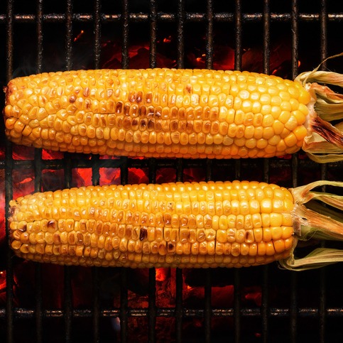 What's the best way to cook sweet corn? Ask Adam Anything!
