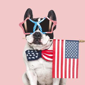 What does patriotism mean to you?