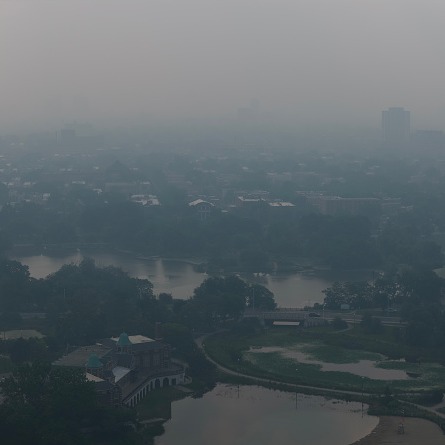 Our air is disgusting right now. How is the smoke impacting your outdoor plans?