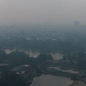 Our air is disgusting right now. How is the smoke impacting your outdoor plans?