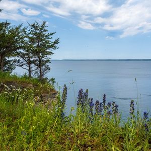 Bodies of water to name after ourselves, CTE in the NFL & Ask Adam Anything
