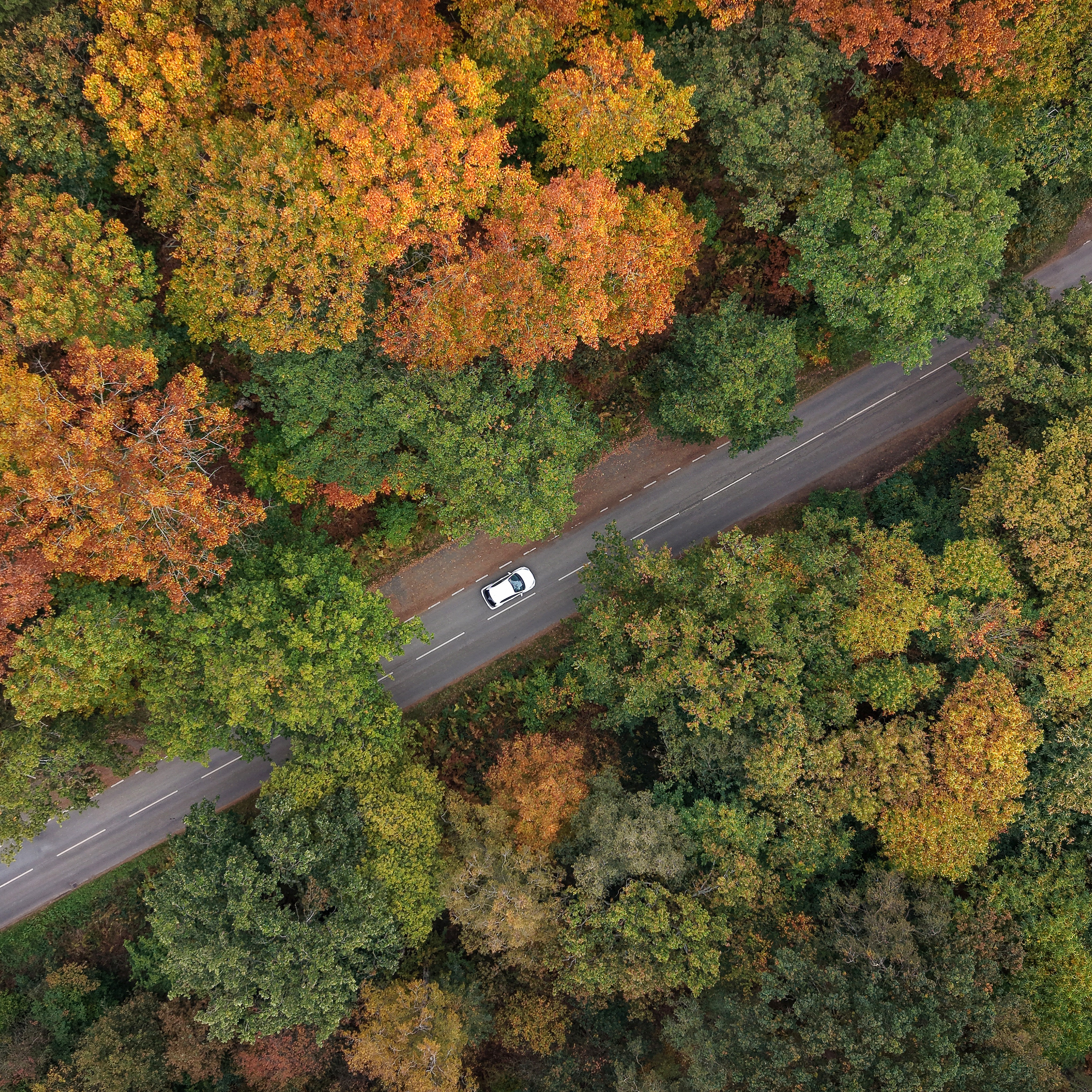 Tom Hauser on KSTP polls, Chad’s war against fall lovers