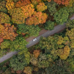 Tom Hauser on KSTP polls, Chad’s war against fall lovers