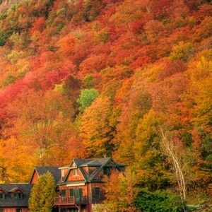Susie's trip to see some fall colors in Two Harbors...Underrated!