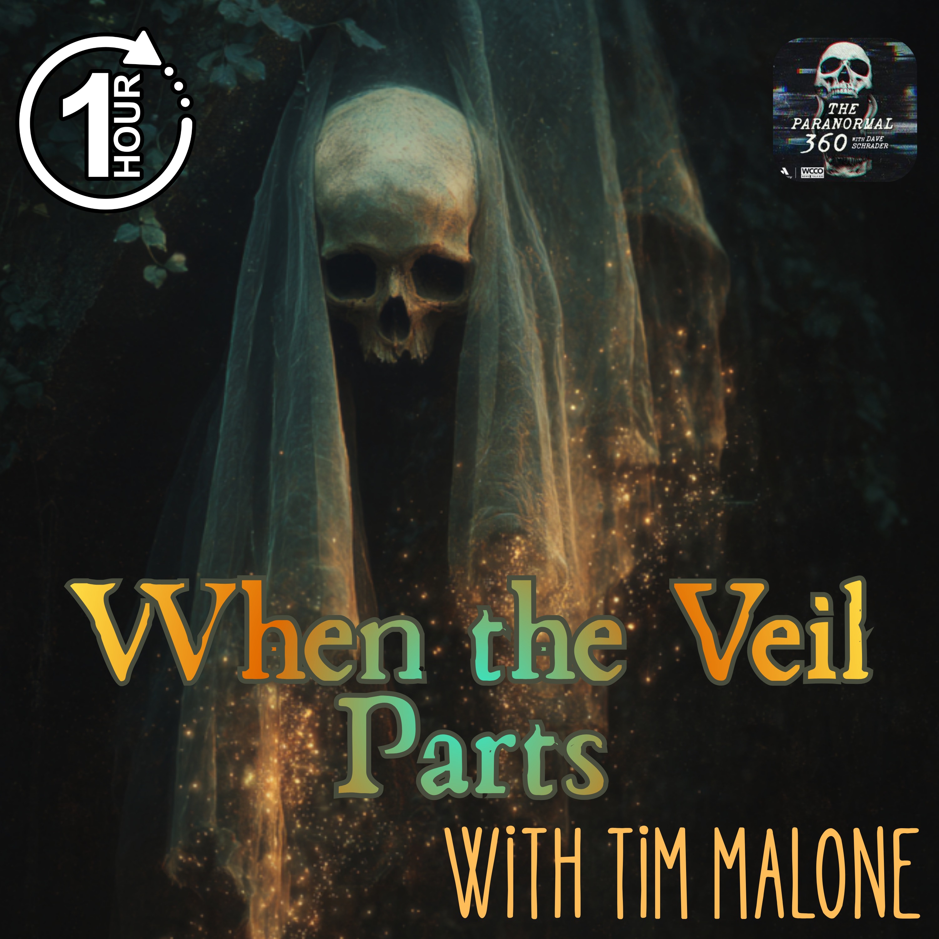 When the Veil Parts with guest Tim Malone