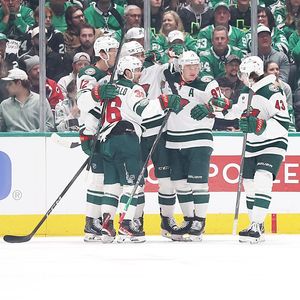 We Want to Believe in the Wild, But Can We?