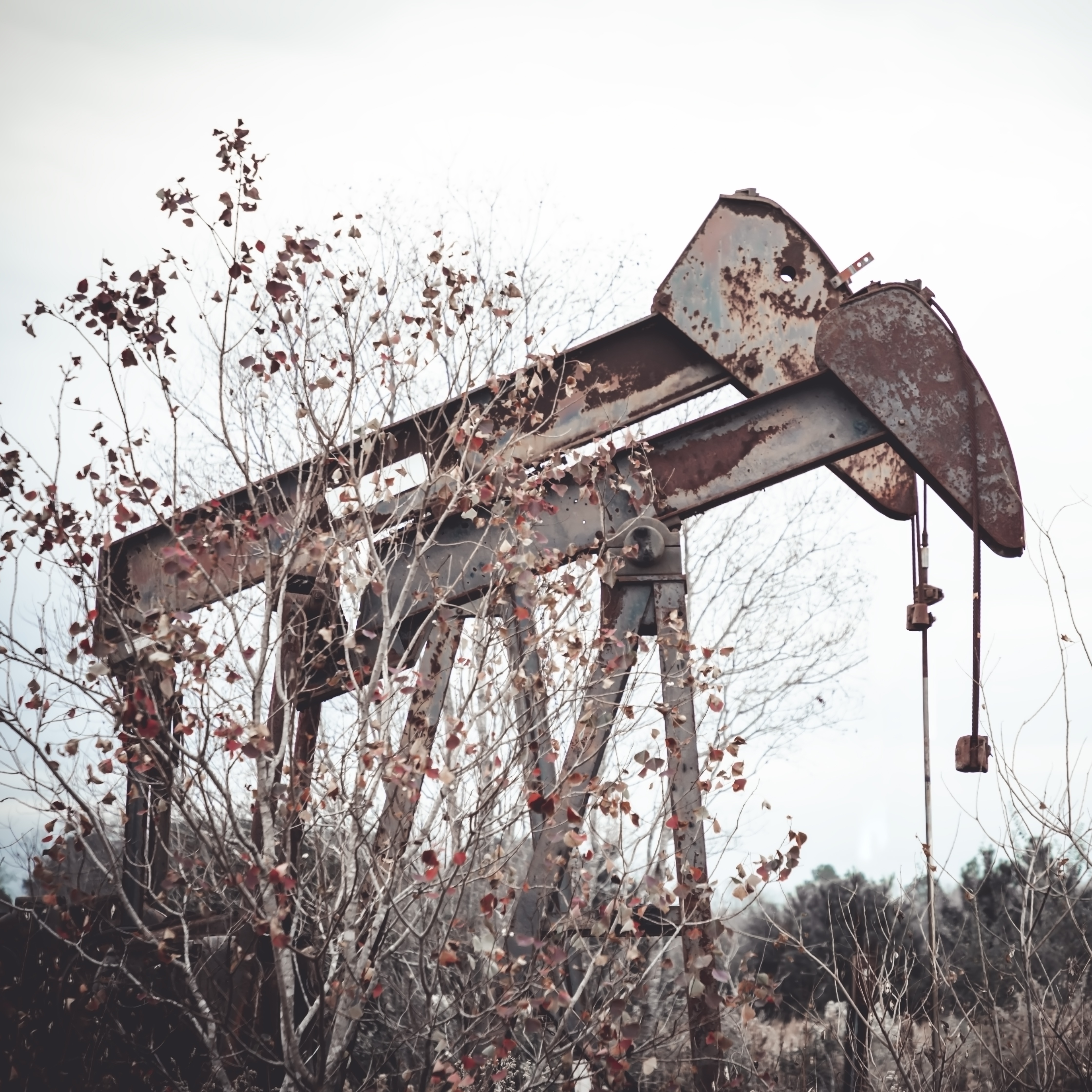 Louisiana's abandoned oil and gas wells have reached a record high