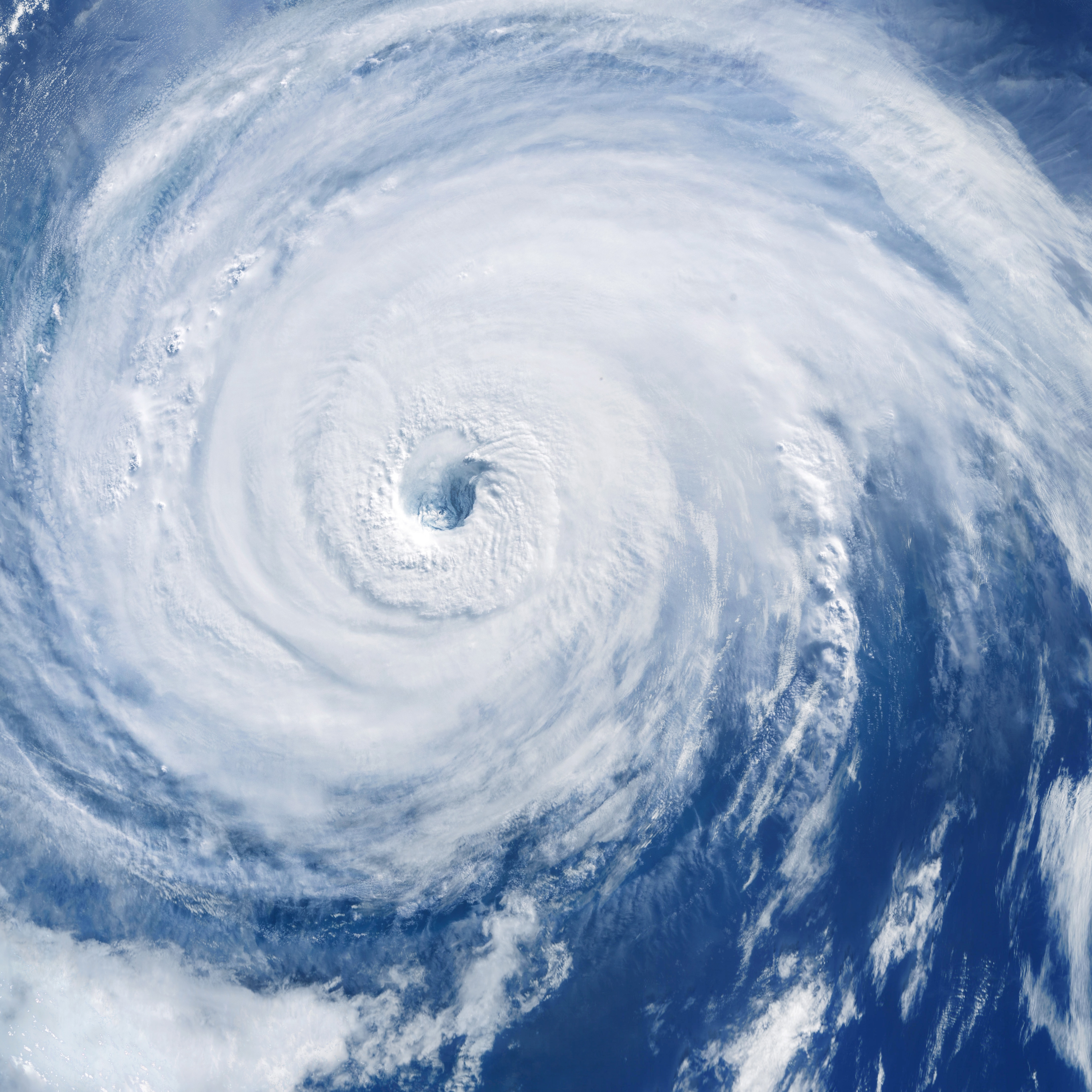 Insurance Commissioner Tim Temple talks about insurance coverage and hurricane preparedness