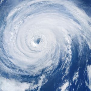 Insurance Commissioner Tim Temple talks about insurance coverage and hurricane preparedness