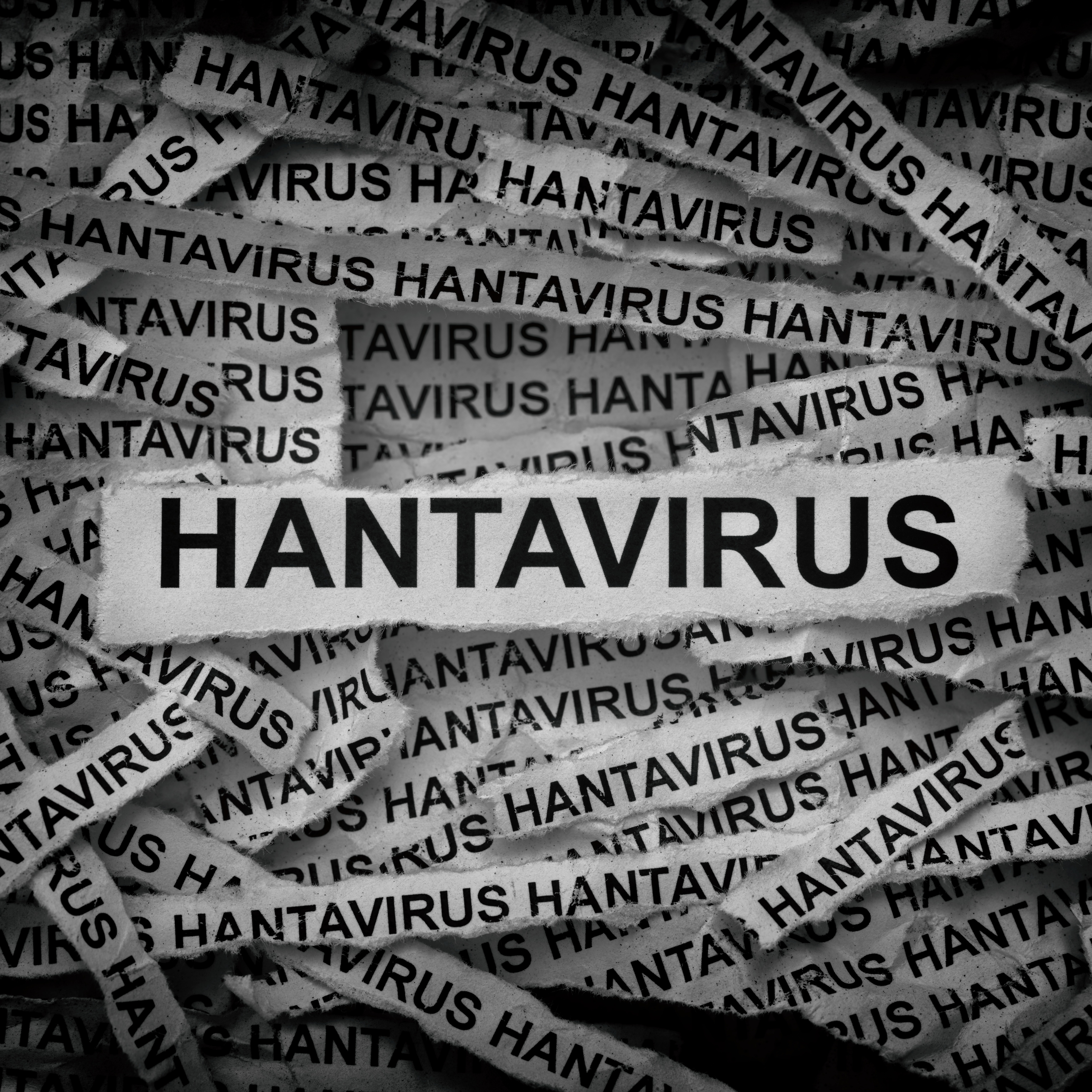 A deadly hantavirus outbreak on a cruise ship has health officials on alert