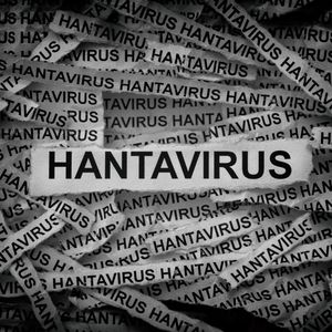 A deadly hantavirus outbreak on a cruise ship has health officials on alert