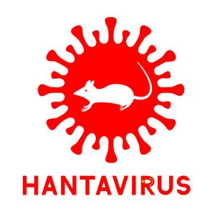 Hour 2: A hantavirus outbreak on a cruise ship in the Atlantic Ocean has left three passengers dead and several others sick, according to the World Health Organization