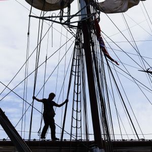 Hour 3:  The Audubon Nature Institute has a lot to offer for tourist in town for SAIL 250