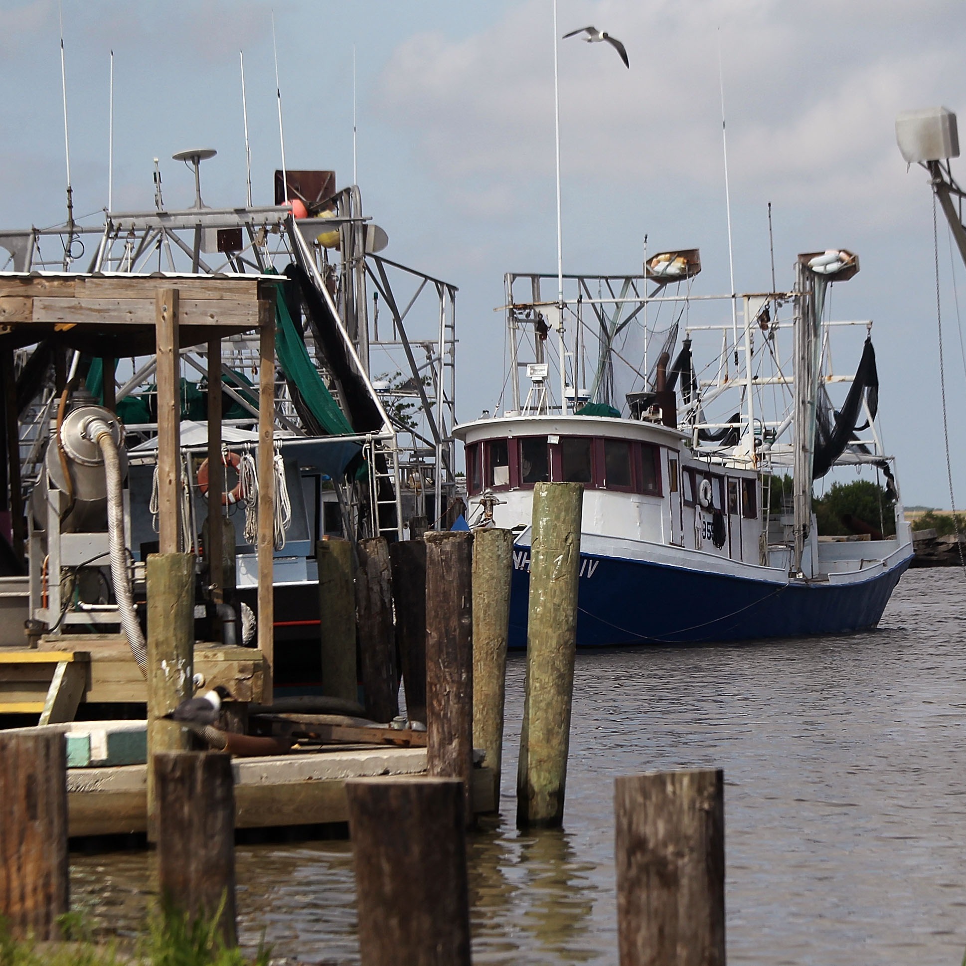 Hour 3: What can be done to protect Louisiana's seafood industry?