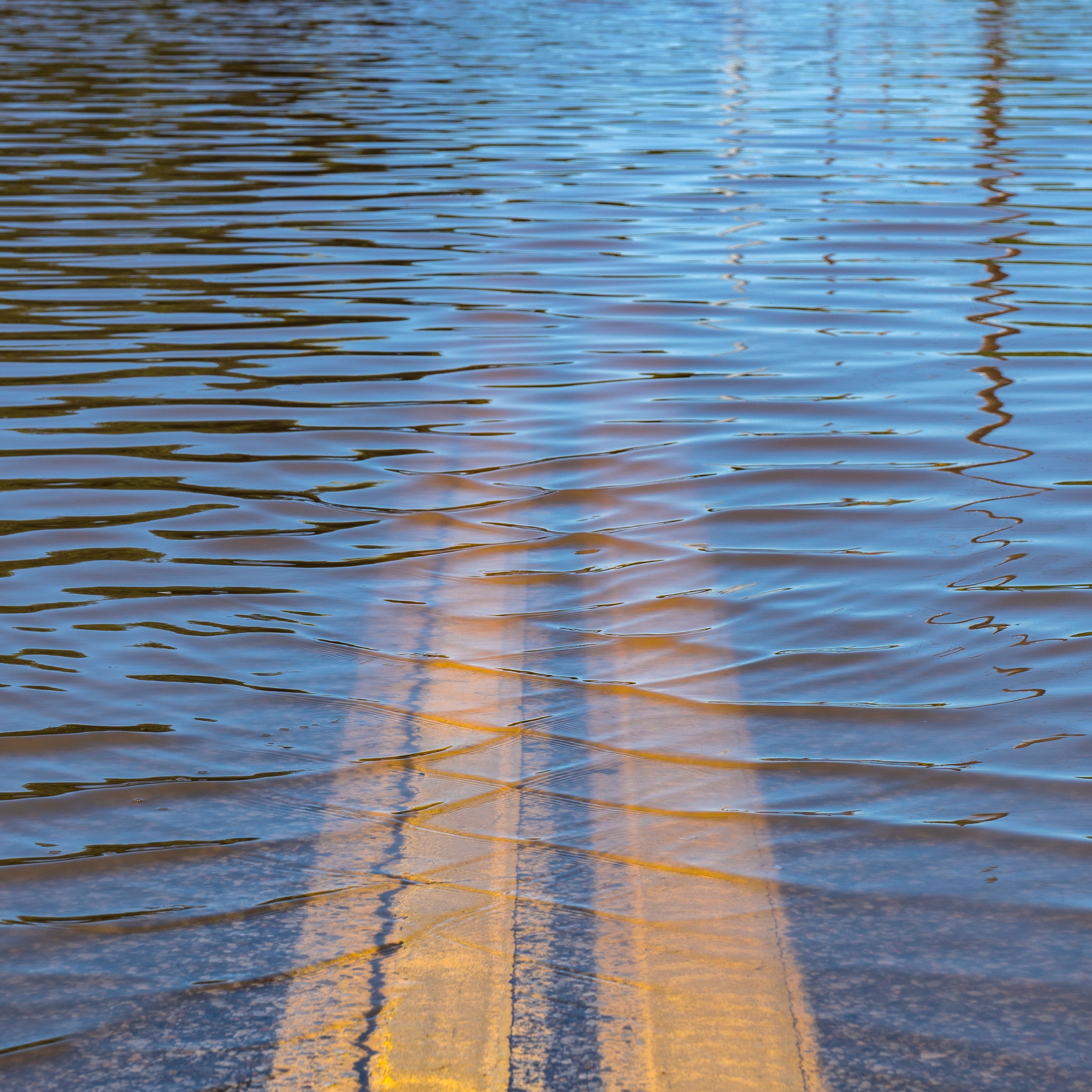 If "human error" was responsible for the flooding around the city, heads need to roll at the SWBNO
