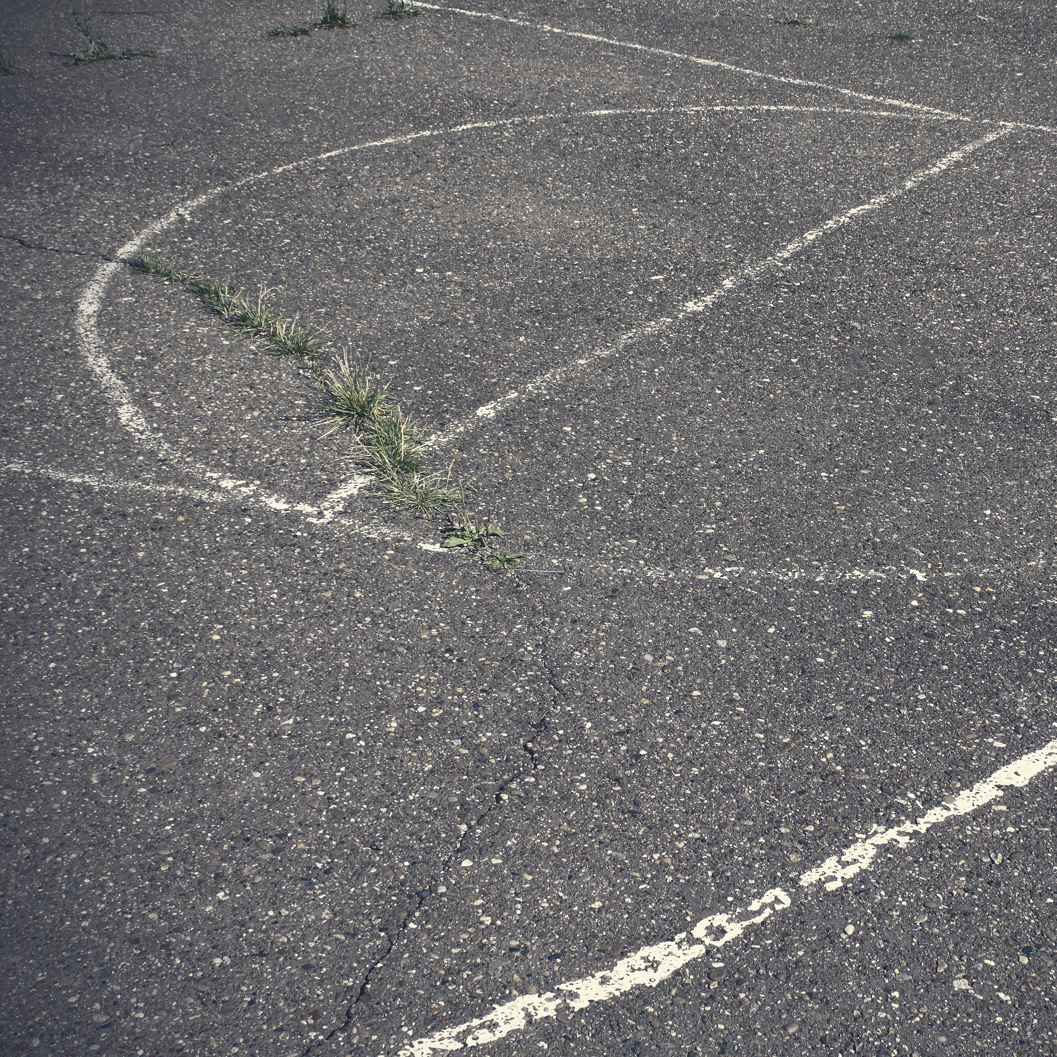 A new report from the New Orleans Inspector General reveals widespread oversight failures across the city's youth sports programs, putting thousands of young athletes and their families at risk