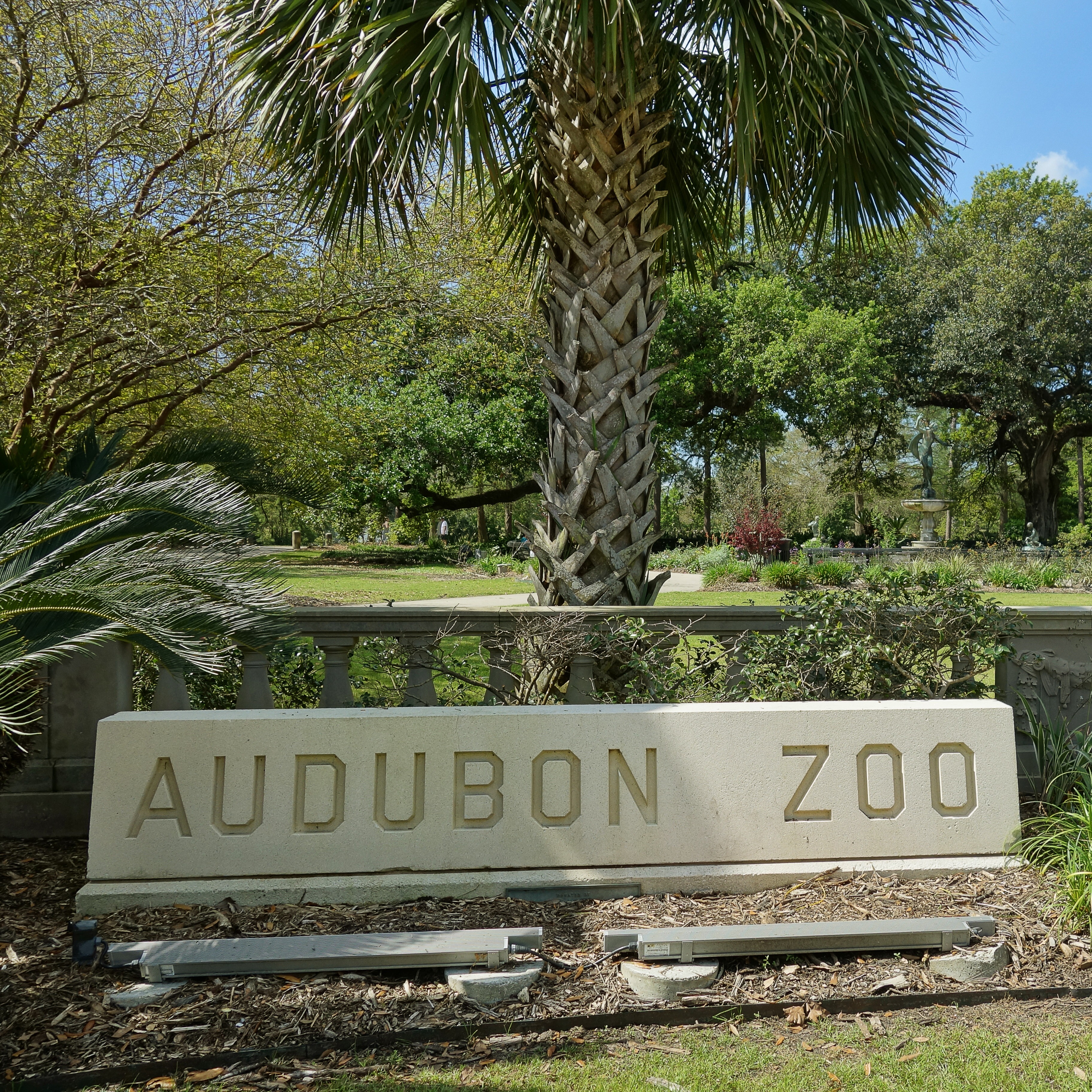 Hour 1: Newell LIVE from BOO AT THE ZOO at Audubon Zoo! (10AM Hour)