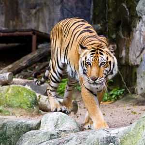 Hour 3: Newell LIVE from BOO AT THE ZOO at Audubon Zoo! (12PM Hour)