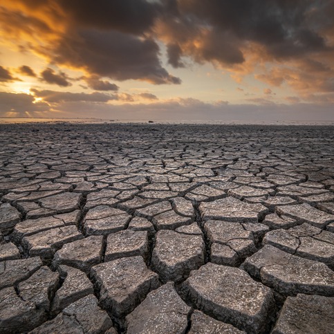 Associate Professor of Political Science at Indiana University - Indianapolis
