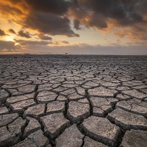 Associate Professor of Political Science at Indiana University - Indianapolis