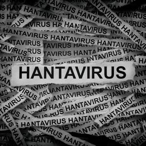 What the heck is the hantavirus we've been hearing about?