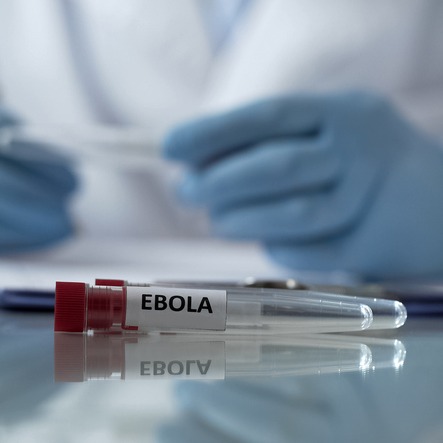 There's a big Ebola outbreak in Africa. Here's what you need to know
