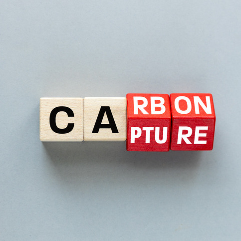 Carbon capture was supposed to be a big issue in the session. What happened?