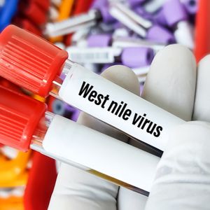 West Nile was found in New Orleans. Here's what you need to know