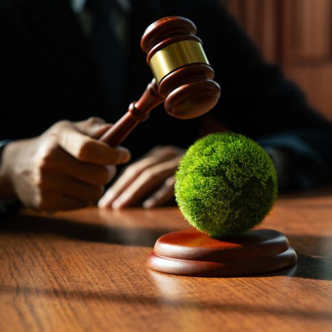Louisiana has banned climate change lawsuits against energy companies. What does that mean?