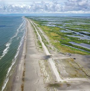 How coastal restoration projects benefit people AND animals