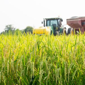 How Louisiana rice is helping the hungry