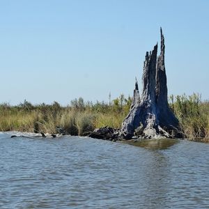 National Beach Day is this weekend. Here's why beaches are so important for protecting our coast