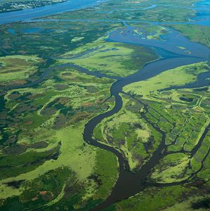How much danger is the mouth of the Mississippi in?