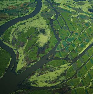 Hour 2: What does the future hold for the mouth of the Mississippi?