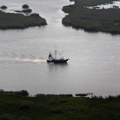 Hour 2: How are Louisiana shrimpers doing?