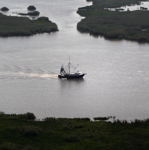 Hour 2: How are Louisiana shrimpers doing?