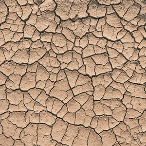 Just how bad is the drought in Louisiana?