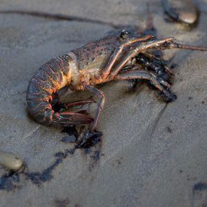 Ian Hour 2: When did we decide America wasn't gonna lead the world anymore?