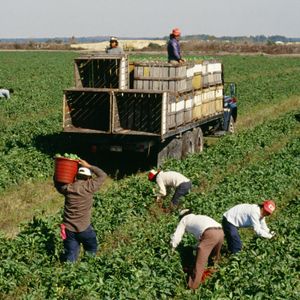 Hour 3: Ag Commissioner Mike Strain says he can't find Americans to do $18-$22/hour farm work