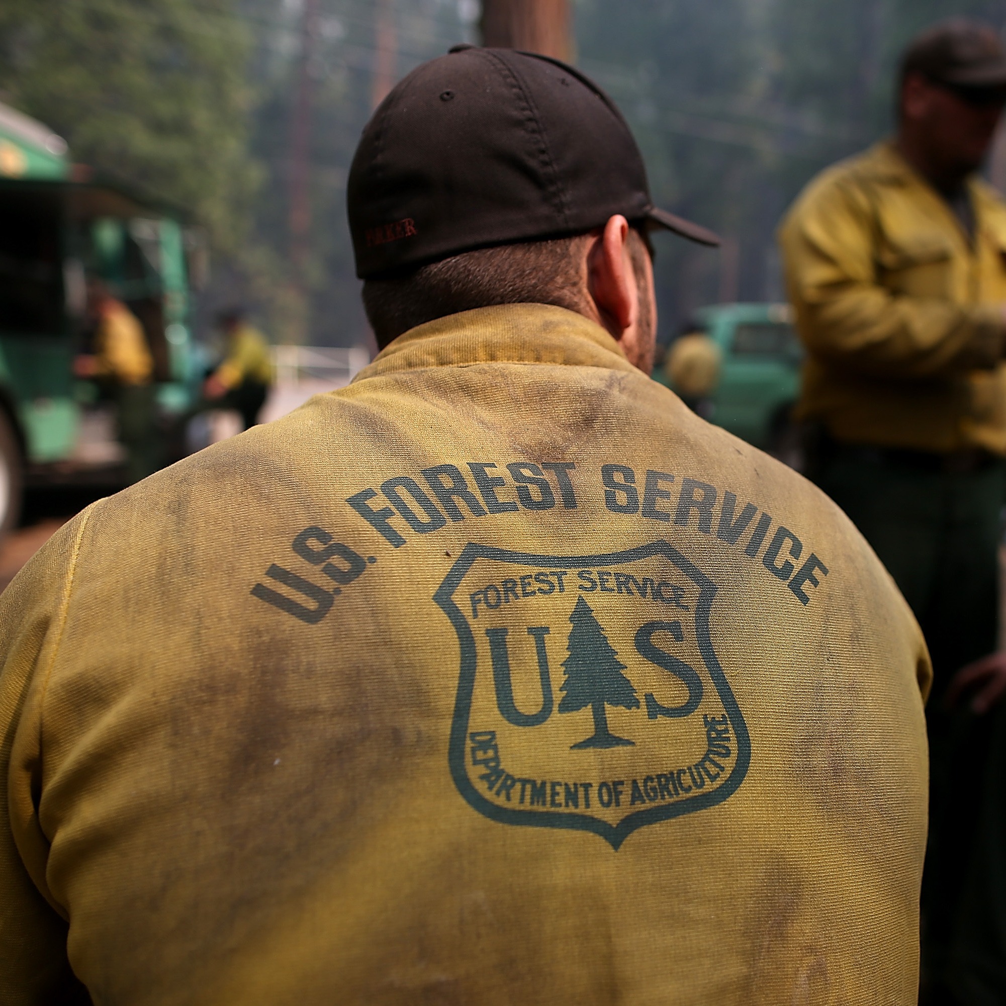 In defense of public lands; why we need the US Forest Service