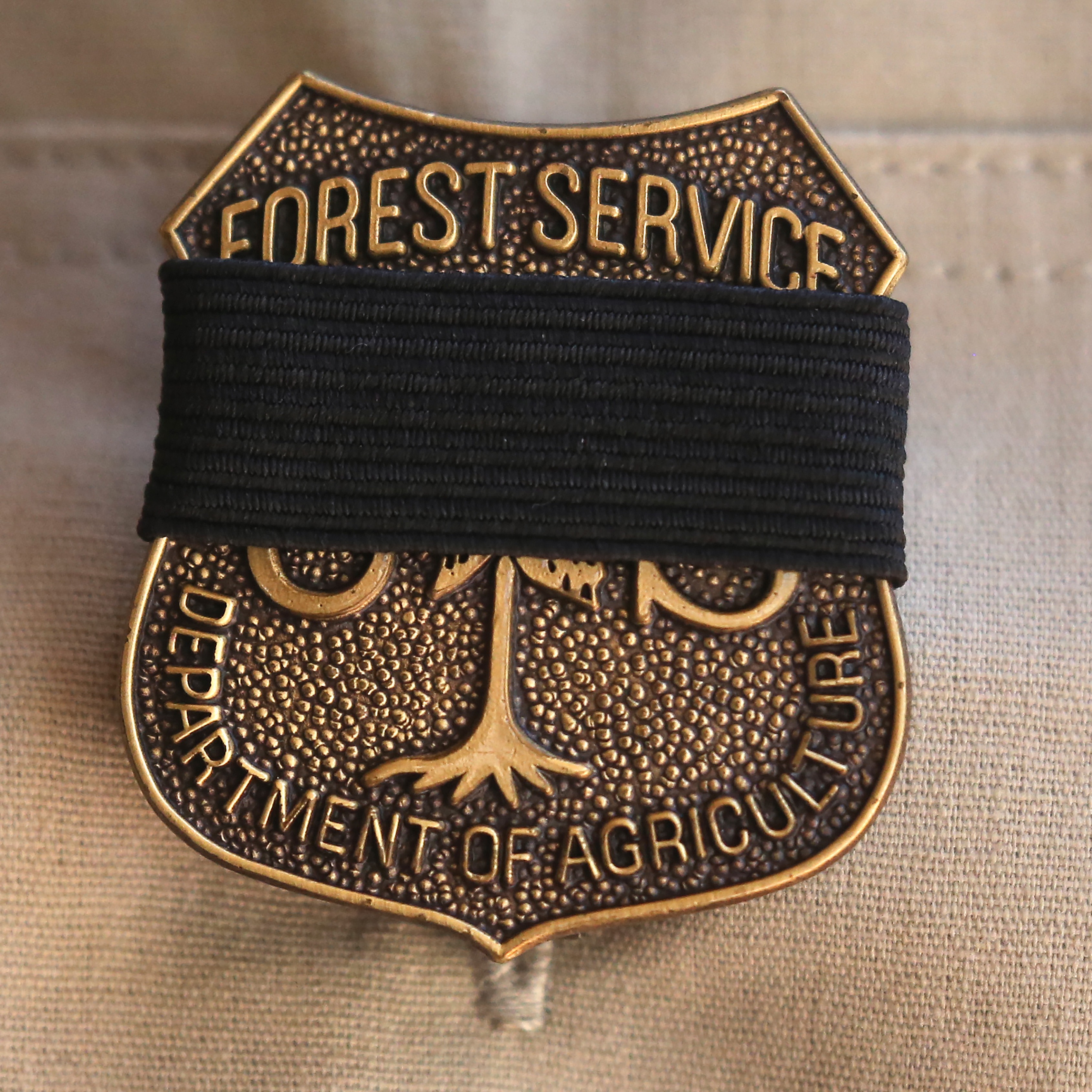 Ian Hoch Hour 1:  Don't fall for Trump's "common sense" reforms to Forest Service