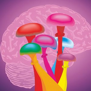How are some people's pain seen as a societal failure, while others' are seen as personal failures?