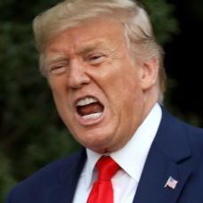 Bad 24 hours for White House's legal battles