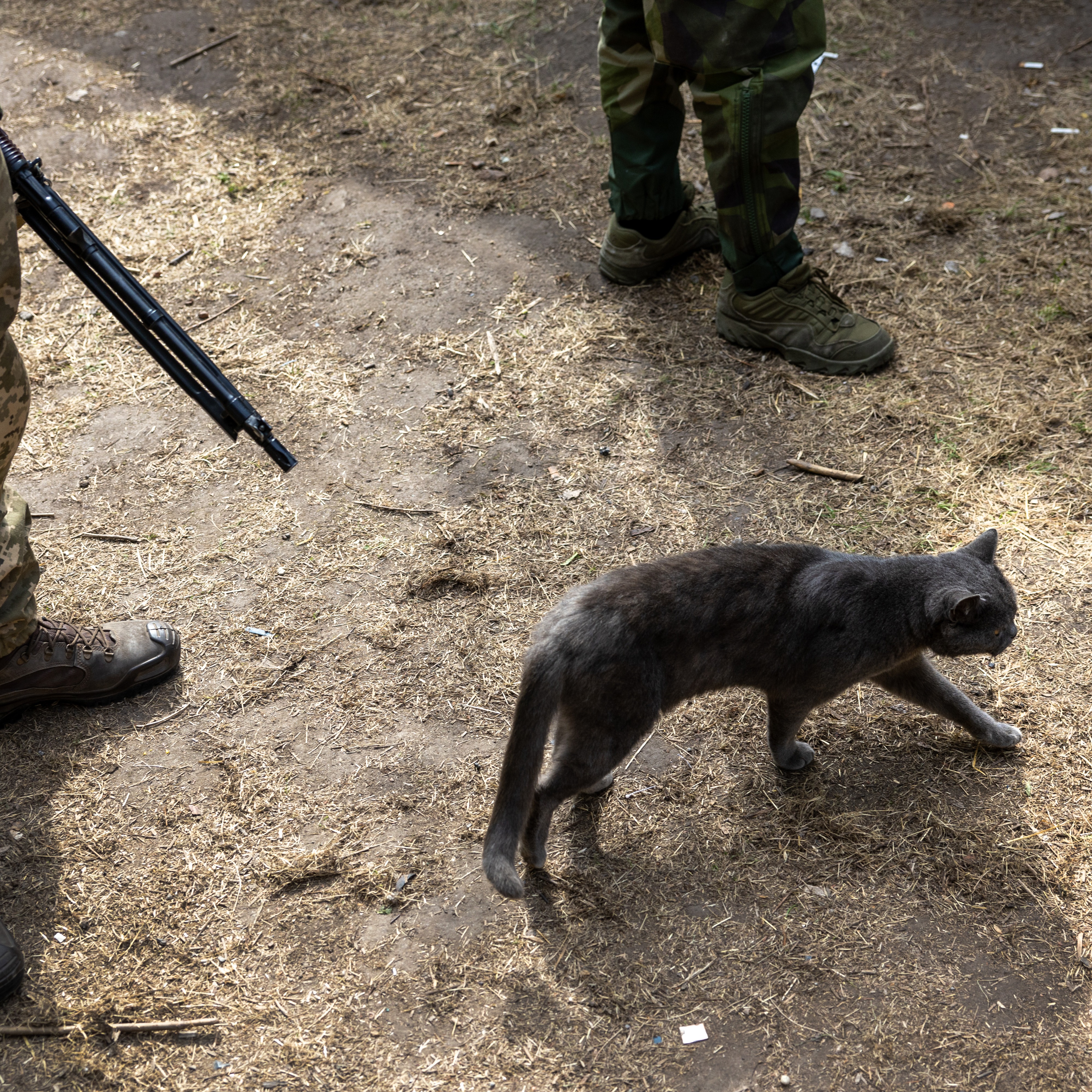 Hour 1: Why's Matt in Ukraine's lethal drone warfare unit up to their ears in stray kittens?