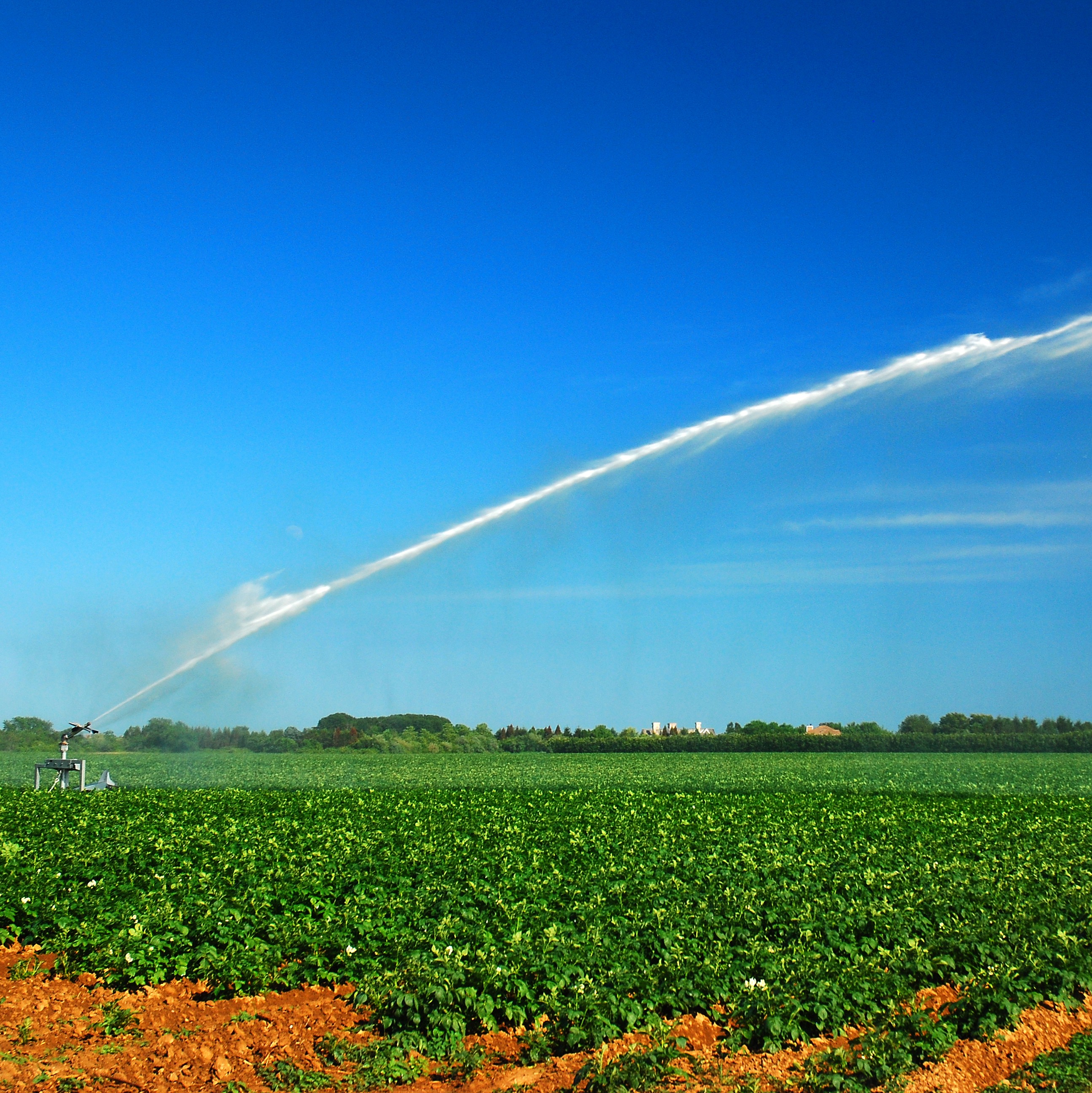 Forever chemicals might be in Long Island produce