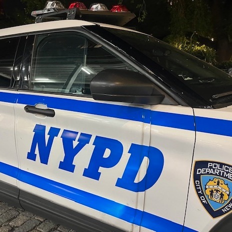 Woman sues city, alleging the NYPD failed to protect her