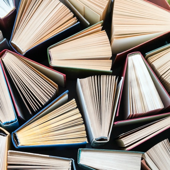 Camp Win is hosting spring break book party at shelters