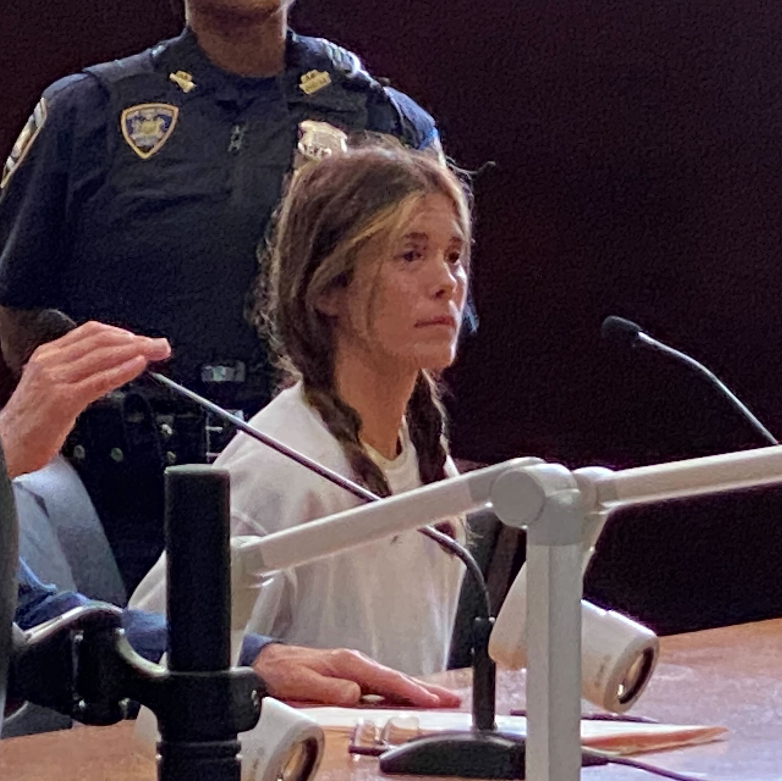 LI social worker pleads not guilty to trying to kidnap baby out of stroller