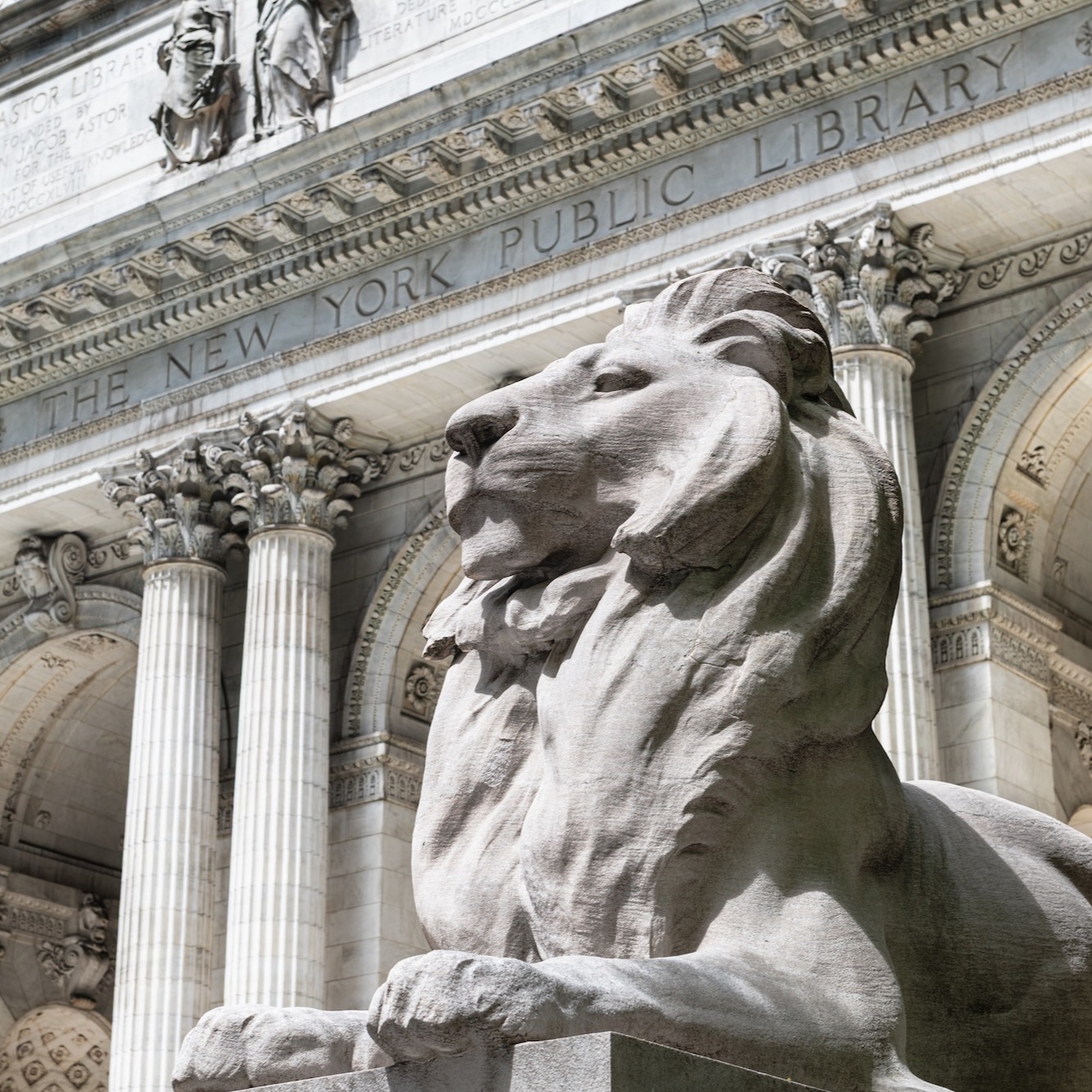 New Yorkers mark Library Week
